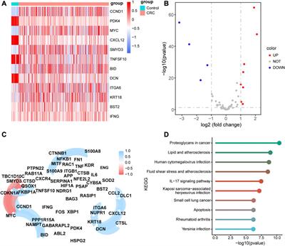 Prognostic value of autophagy-related genes based on single-cell RNA-sequencing in colorectal cancer